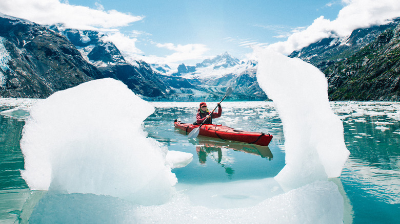 Person in a red kayak in Glacier Bay, Alaska