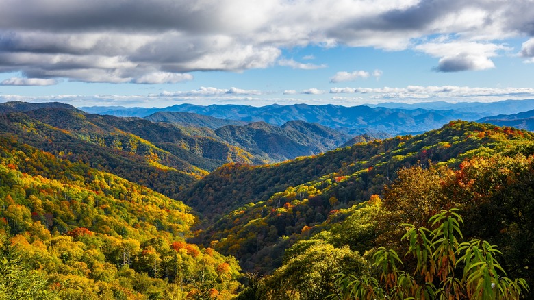 Mountain vista of Great Smoky National Park