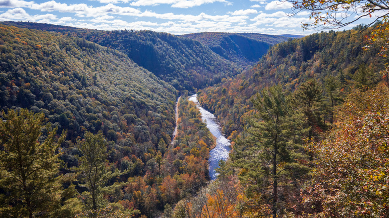 Pine Creek Gorge in Pennsylvania