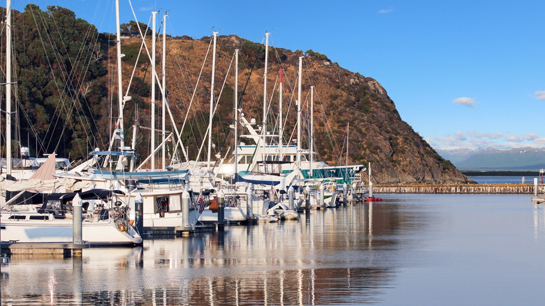 Anacortes harbor