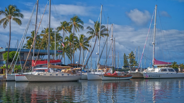 Hawaii Yacht Club from the water