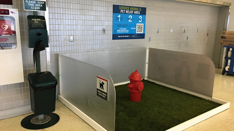 pet relief area at an airport