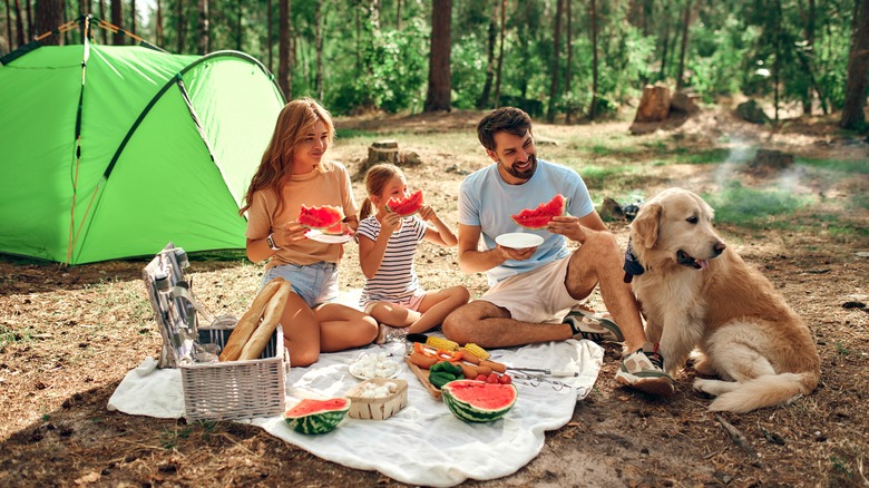 family having picnic with dog