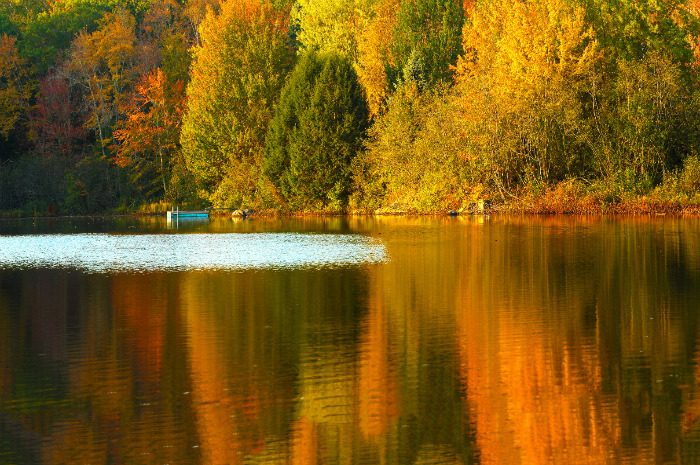 50 Charming Small Towns To Visit In Autumn