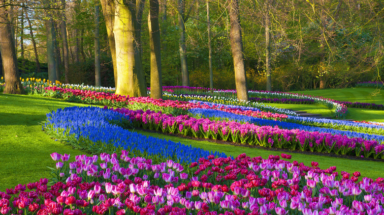 Keukenhof Park 