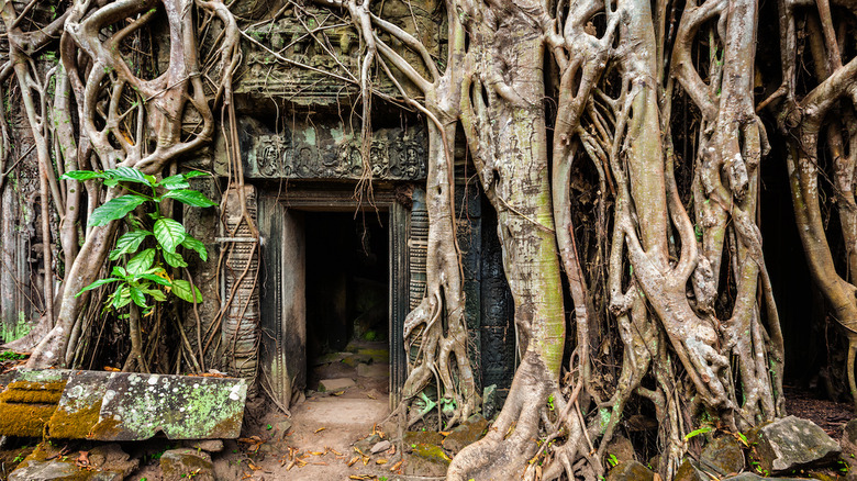 Ta Prohm