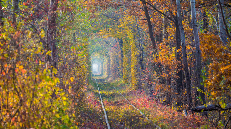 Tunnel of Love