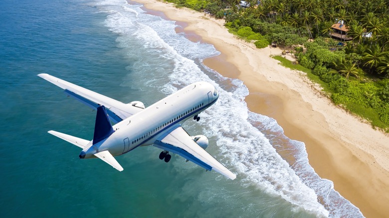 plane flying over beach