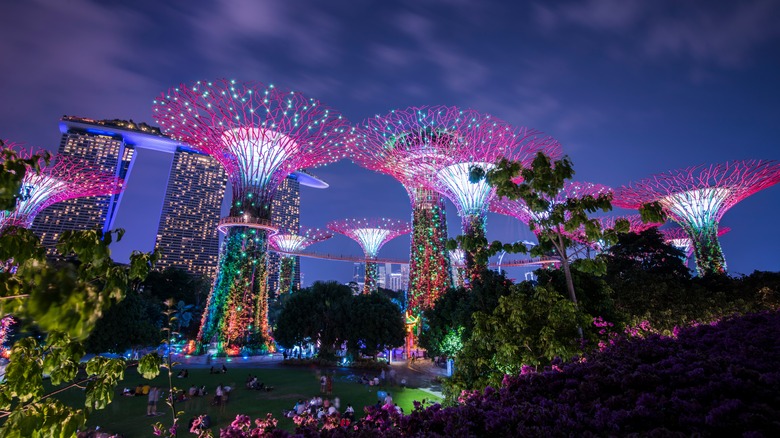 Singapore solar trees at night