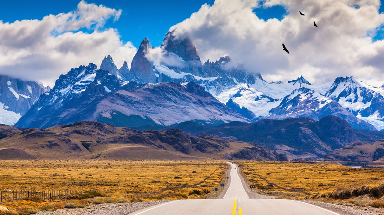 Pan-American Highway into Patagonia