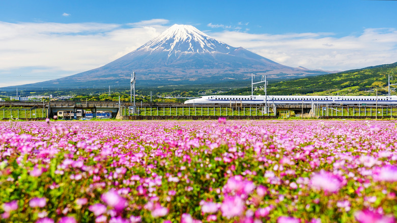 train by Mount Fuji