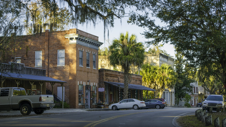 view of downtown Micanopy