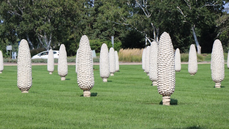 Field of Corn structures