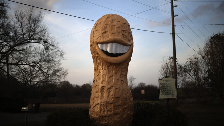 Jimmy Carter Smiling Peanut