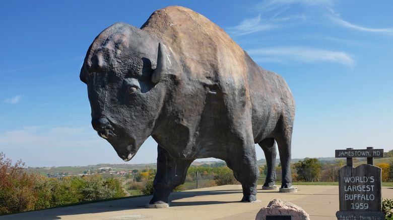 World's Largest Buffalo 