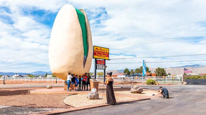 people taking photos by a large pistachio