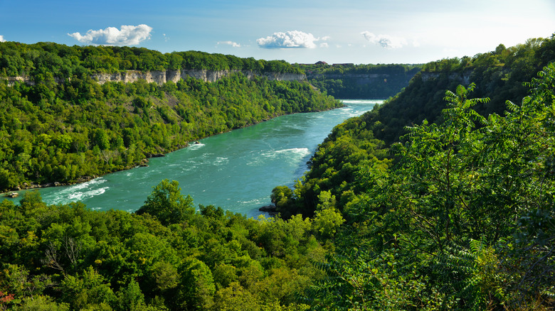 Niagara Glen Nature Reserve