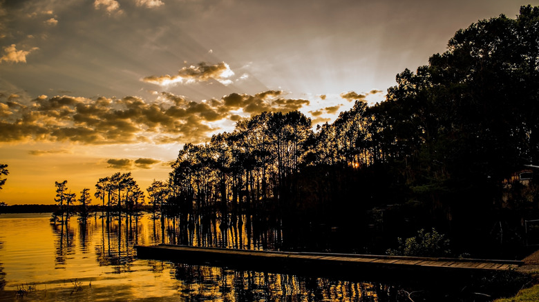 sunset over lake with large trees