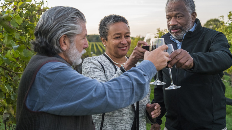 Friends toasting at Long Island winery