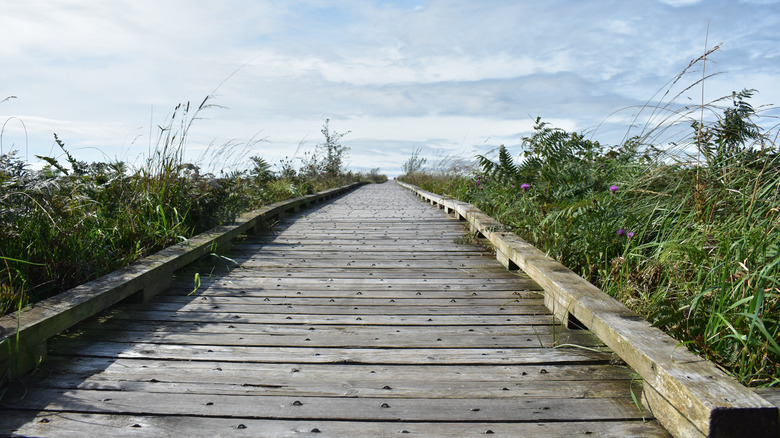 Clara Bog Nature Preserve