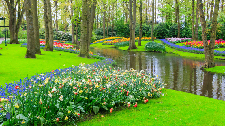 Keukenhof Gardens