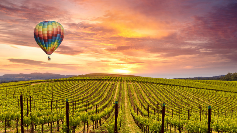 Sunrise hot air balloon ride in Napa, California