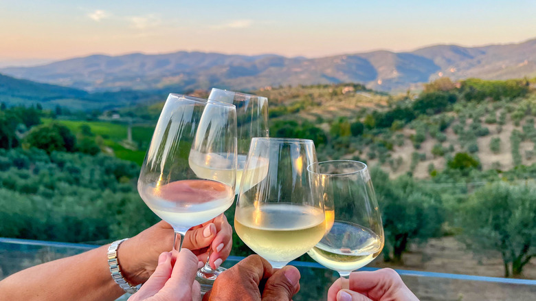 Group toasting with wine in Napa Valley