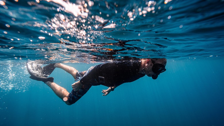 A snorkeler swims in clear water