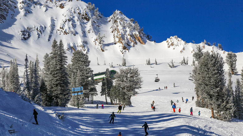 Snowbasin ski run with skiers