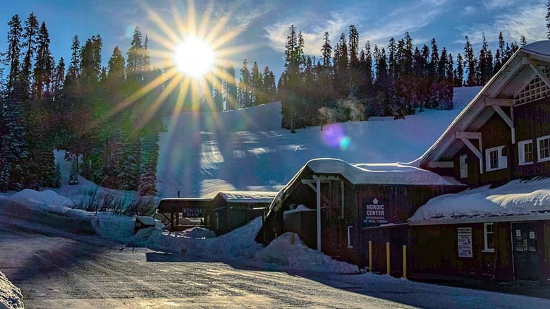 A Guide To Skiing At Badger Pass In Yosemite National Park