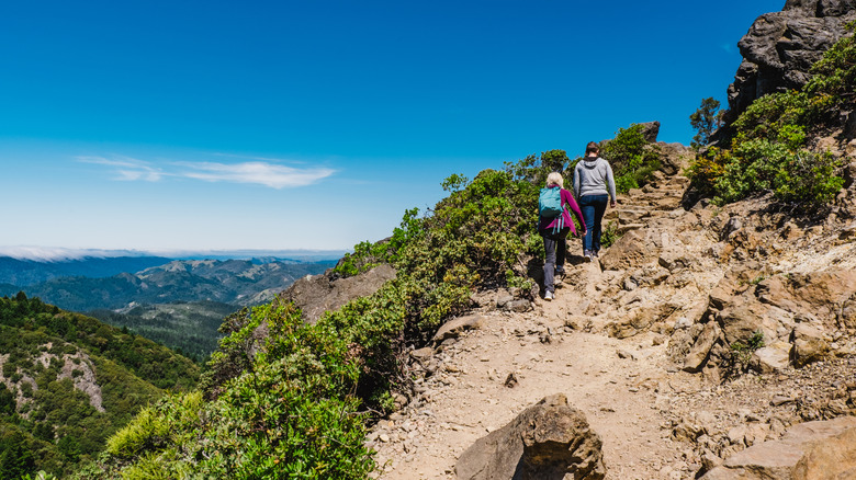 People hiking on Mount Tamalpais