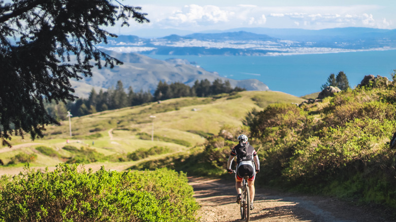 Biker on a trial on Mount Tamalpais in the Bay Area