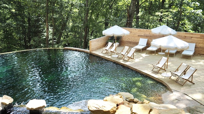 natural pool and deck