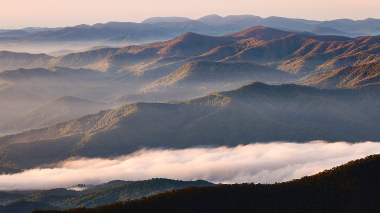 Smoky Mountains with mist