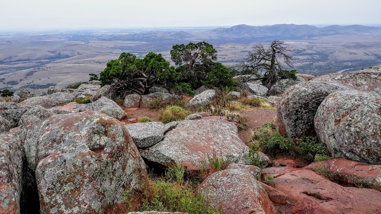 Rocks, shrubs, and trees around Mount Scott in Oklahoma