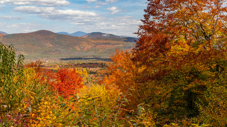 Fall colors in mountains