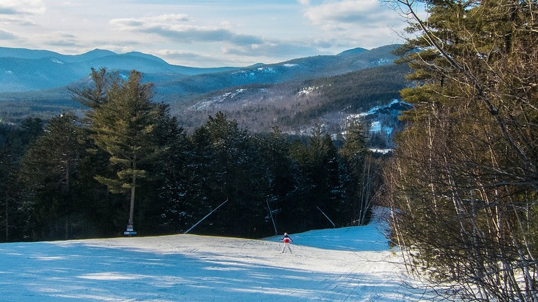 Skier on snowy slope