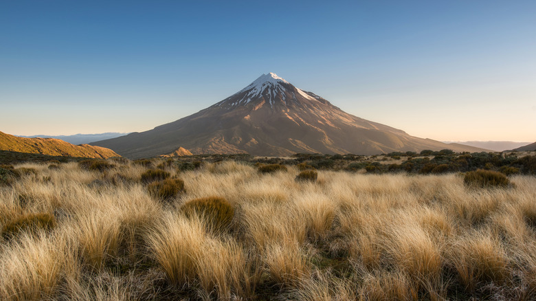 Mount Tanaki in New Zealand at distance with grass in foreground