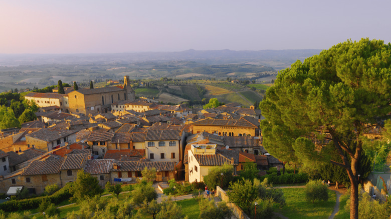 view of Tuscan town at sunset with tree in forefront