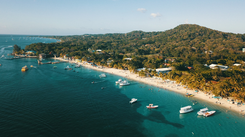 Aerial shot of West Bay Beach