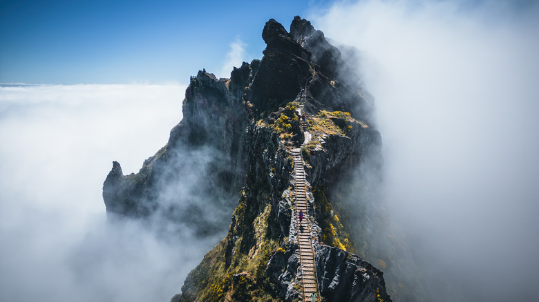 Hiking trail in the clouds, Madeira, Portugal