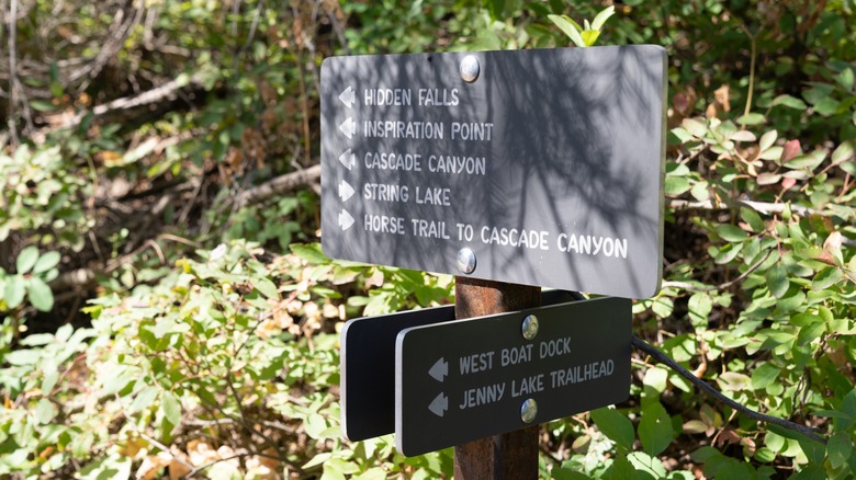 Jenny Lake Trail Sign