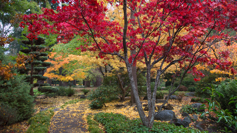 Downtown Ashland, Oregon