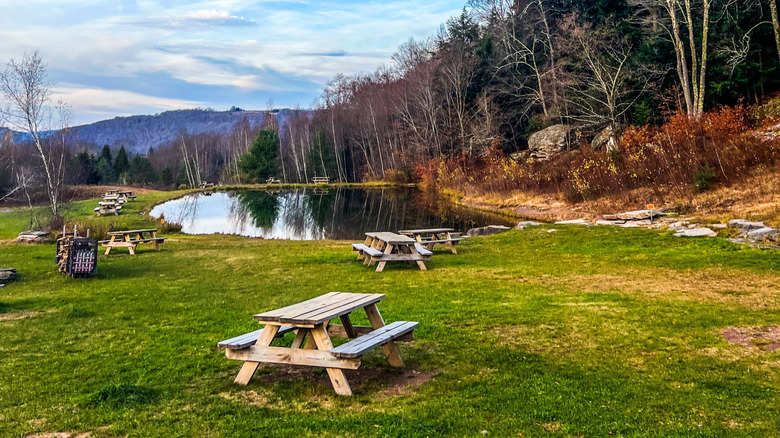 Picnic tables outside a Livingston Manor brewery