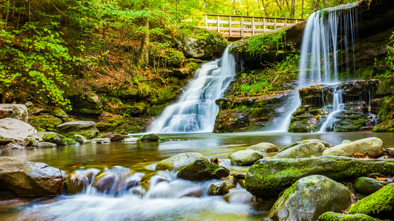 Waterfalls in the Catskill Mountains