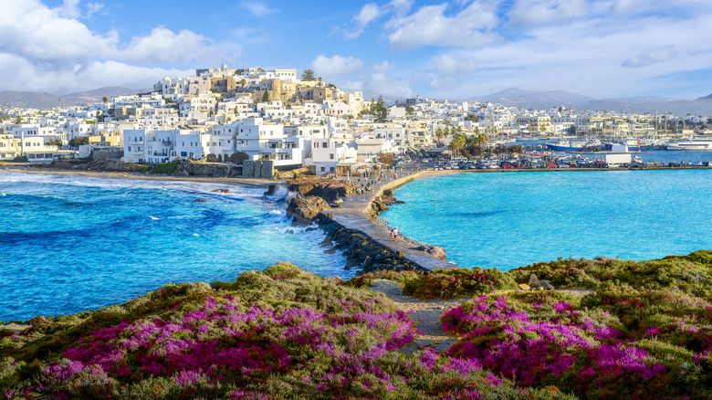 whitewashed village, sea, and flowers