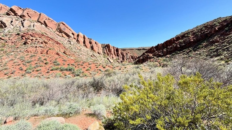 Expansive desert with red cliffs and blue sky