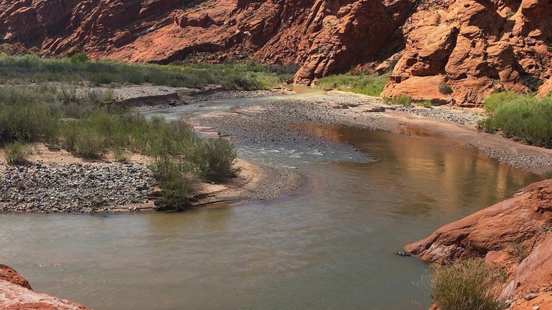 River bend in red-rock canyon