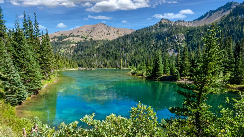 Grand Lake in Olympic National Park on a sunny day