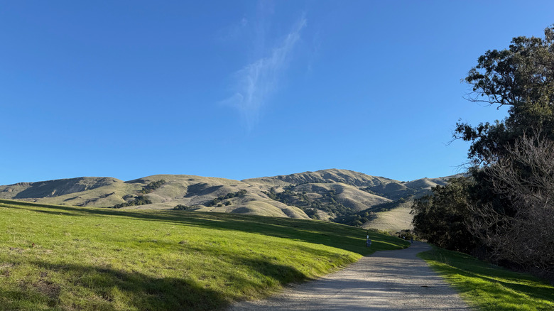 A scenic view along a Mission Peak trail near Fremont, California